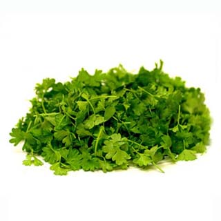 Coriander - Chopped