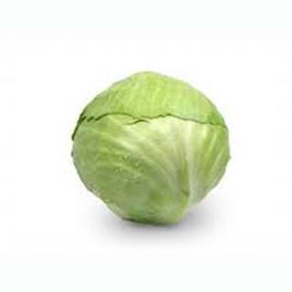 Cabbage - Bald