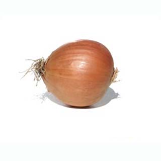 Onion